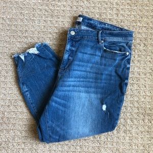 LOFT Plus Distressed Hem High Waist Straight Crop